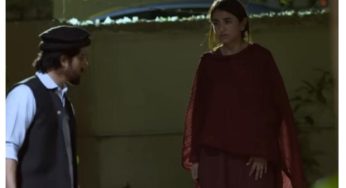 Tere Bin Episode-51 and 52 Review: Meerub lies about her relationship with Murtasim