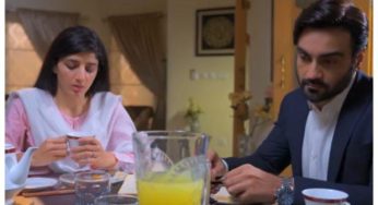 Neem Episode-11 Review: Shizal turns to be a huge disappointment
