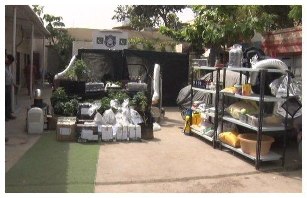 Marijuana processing plant in Karachi’s DHA home busted