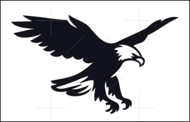 ECP allots ‘eagle’ sign to Istehkam-e-Pakistan Party as election symbol