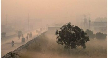 Punjab announces a ‘four-day’ holiday in smog-hit areas
