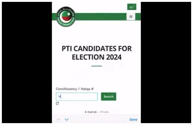 Bat-less PTI banks on social media to make up for electoral symbol loss