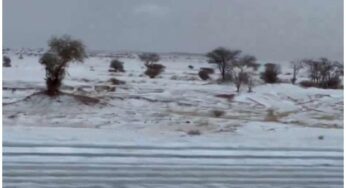 Afif desert in KSA receives rare snowfall