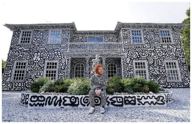 In pictures: Artist Mr Doodle covers every square inch of his £1.35million house in doodles