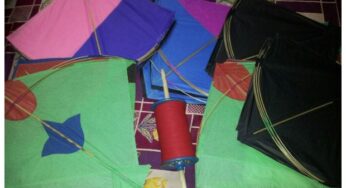 Kite flying, manufacturing and Maanjha sale banned for 2 months in Karachi